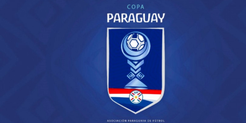 Apoyo unánime a la Copa Paraguay