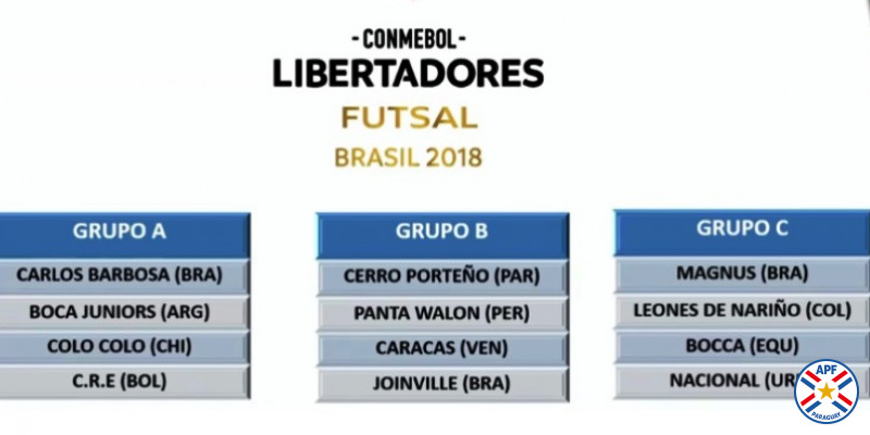 Cerro Porteño en la Libertadores