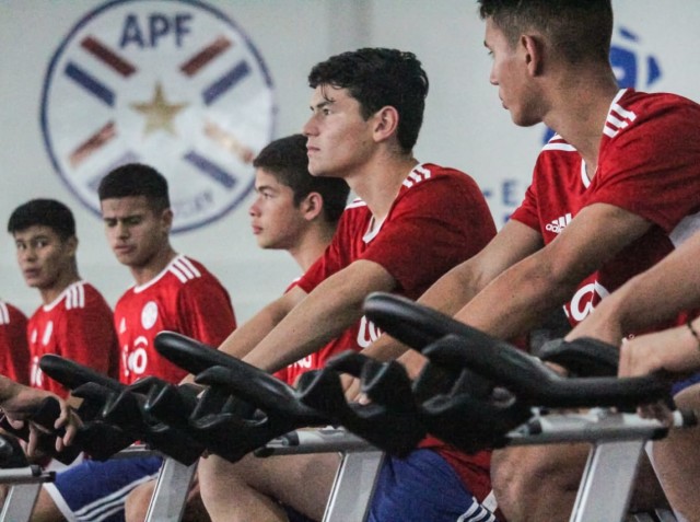 Recuperan fuerzas